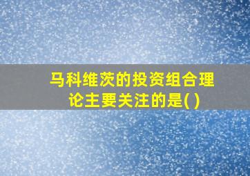 马科维茨的投资组合理论主要关注的是( )